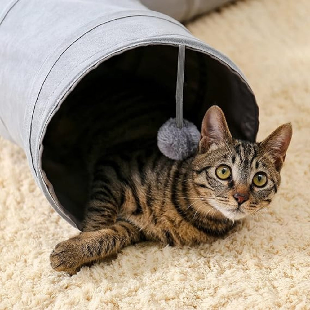 Collapsible Cat Tunnel